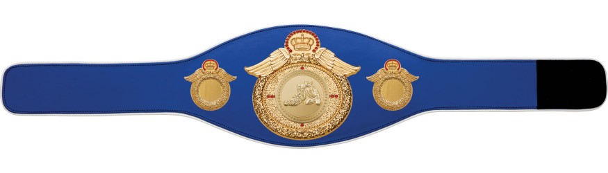 JIU JITSU CHAMPIONSHIP BELT-PROWING/G/JJG-6+ COLOURS